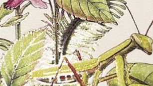 差异化幻彩油墨